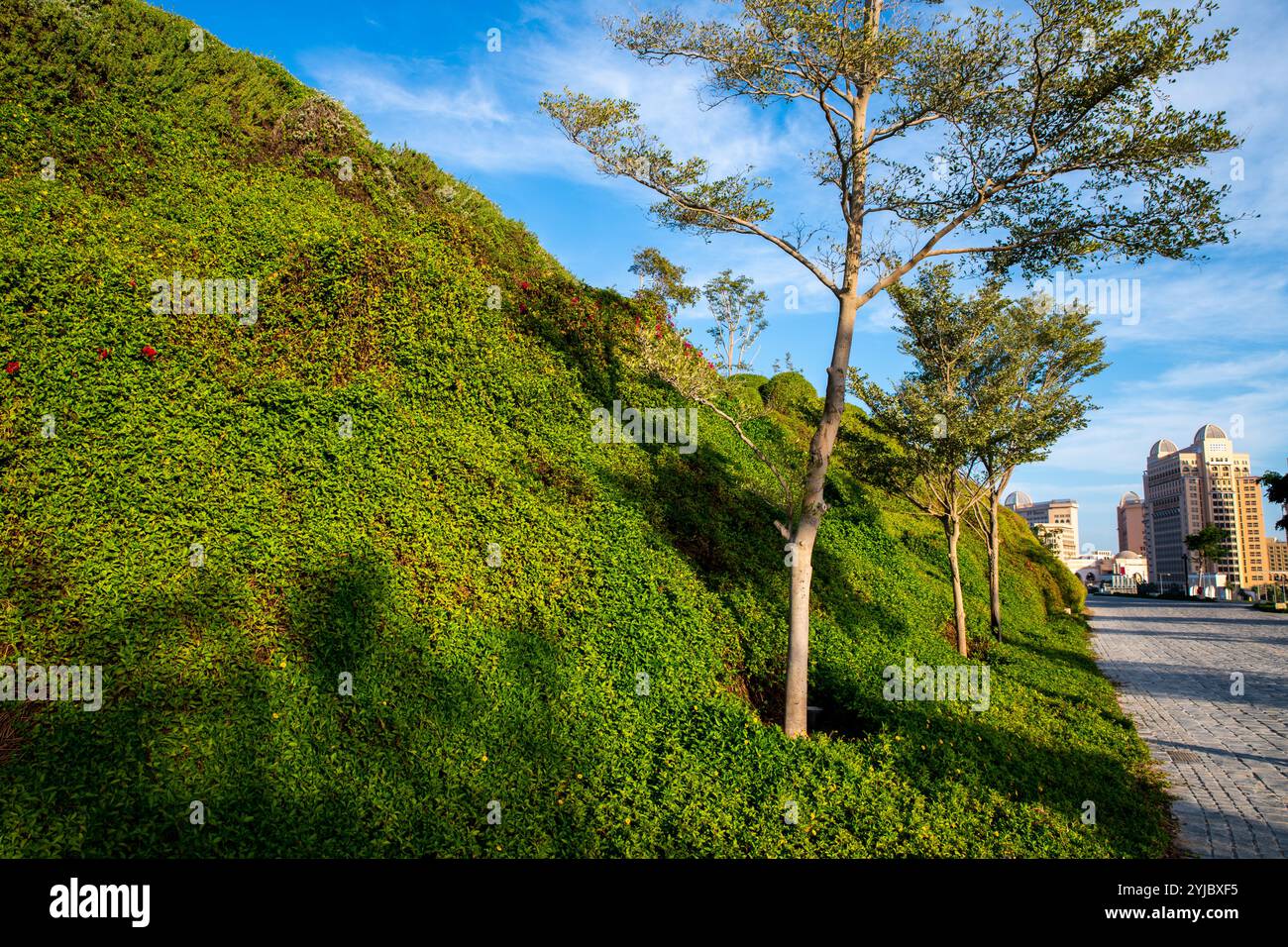 Doha, Katar - 17. Dezember. 2021.Katara Green Hills - Park in Katar. Stockfoto