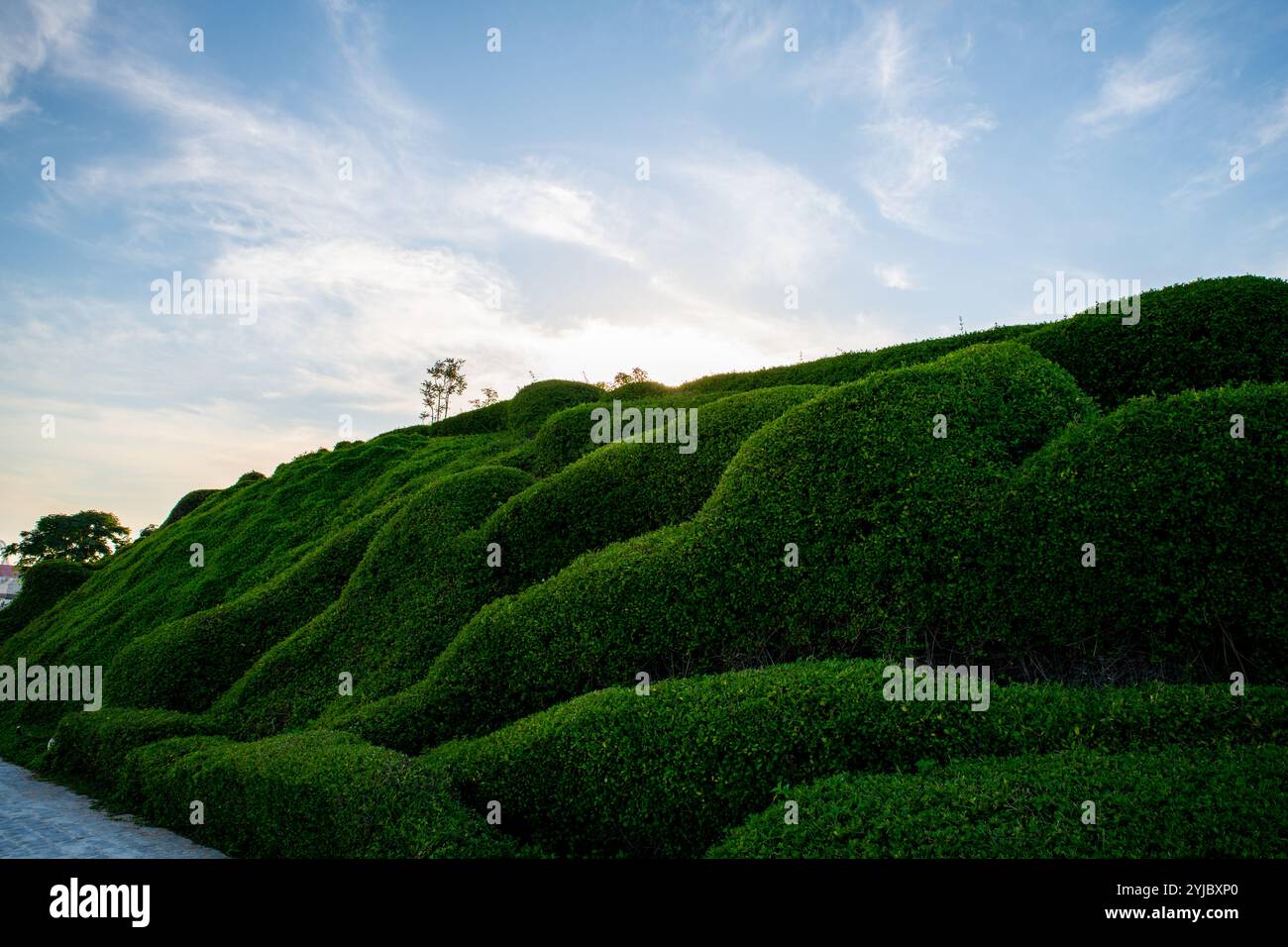 Doha, Katar - 17. Dezember. 2021.Katara Green Hills - Park in Katar. Stockfoto