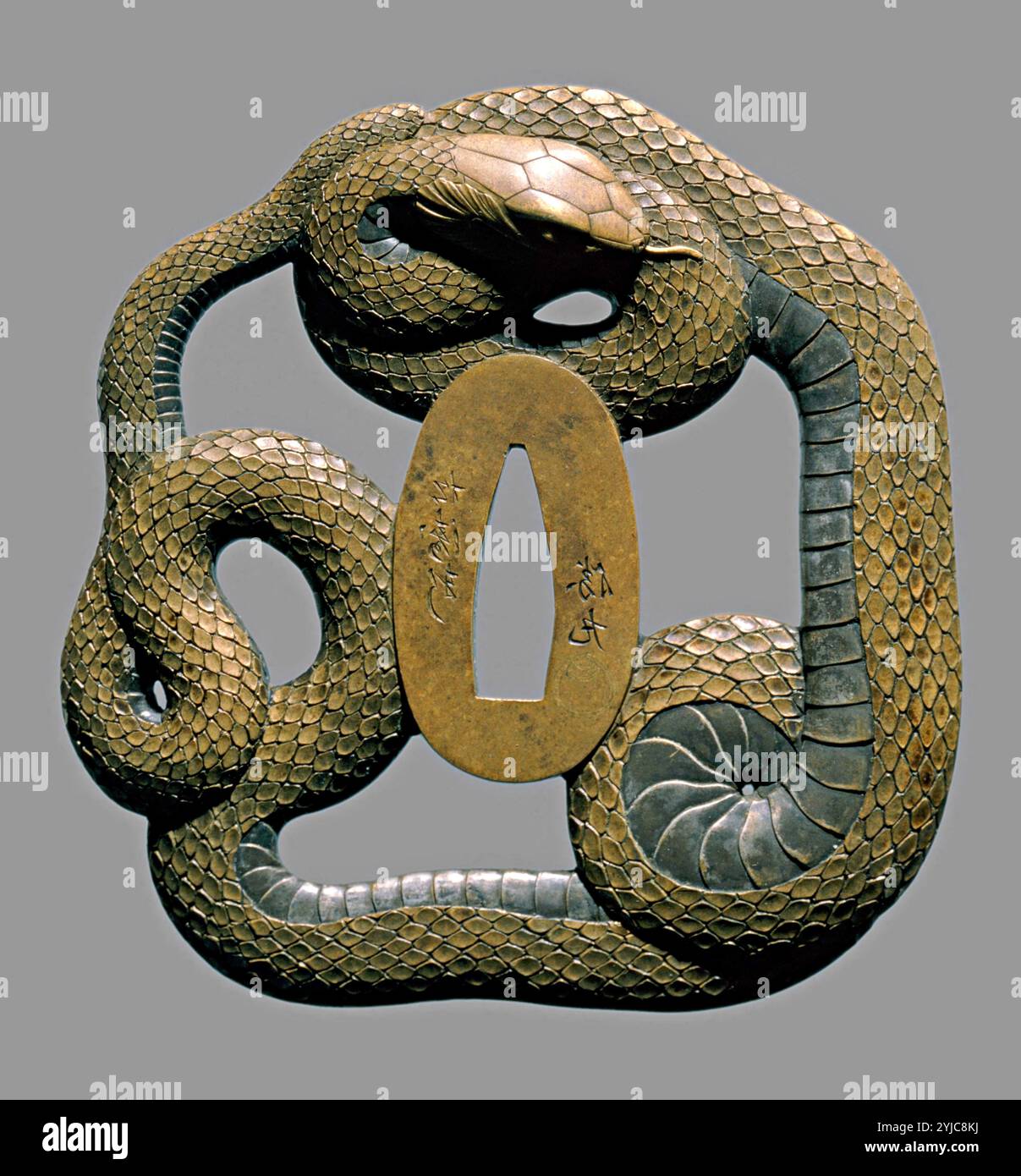 Tsuba, japanische Schlangenfigur, Rundwache am Ende des Schwertgriffs) Edo-Periode, XVIII. Jahrhundert. Museum: Museum für orientalische Kunst, Genova, ITALIA. Stockfoto