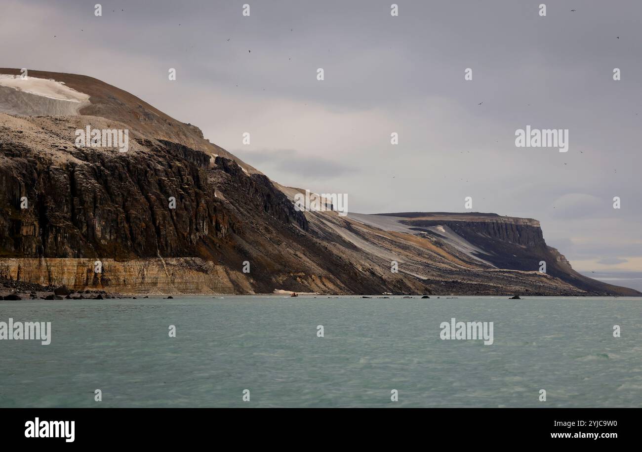 Die spektakuläre Alkefjellet Klippe mit Guillemots, Doleritsäulen, Svalbard Stockfoto