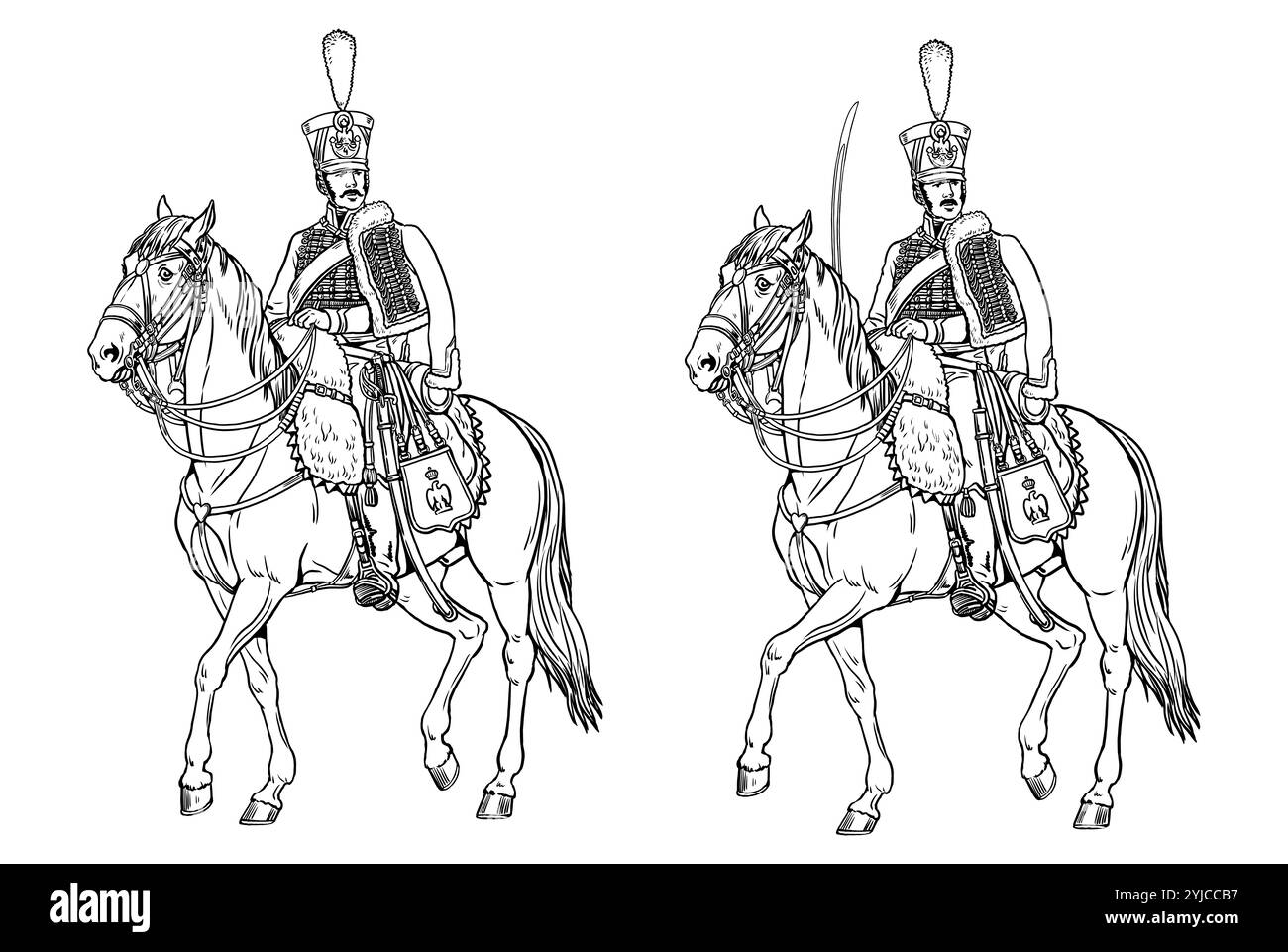 Leichte Kavallerie - französischer Husar. Berittener Soldat der Napoleonischen Armee. Historische Kavallerie Zeichnung zum Einfärben. Stockfoto