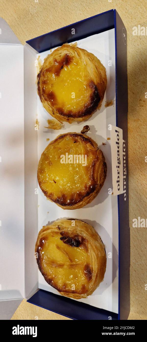 "Pastell de Nata" portugiesische Pudding in einer Schachtel Stockfoto