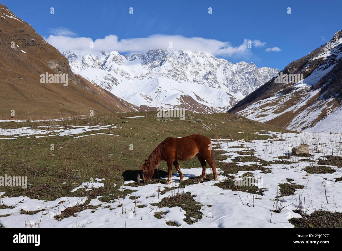 Atemberaubende Ausblicke auf Mestia und Ushguli in Georgien, mit traditioneller Architektur und atemberaubenden Berglandschaften. Stockfoto