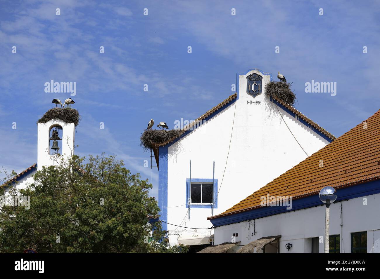 Weißstörche (Ciconia Ciconia) nisten auf Häusern im Stadtzentrum von Comporta, Alentejo, Portugal, Europa Stockfoto