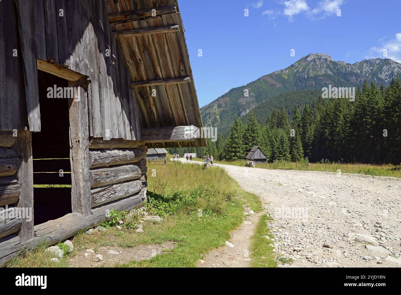 Der Weg und ein Hirtenhaus in der Chocholowska-Rodung. Der Kominiarski Wierch Berg, Westtatra, Polen, Europa Stockfoto