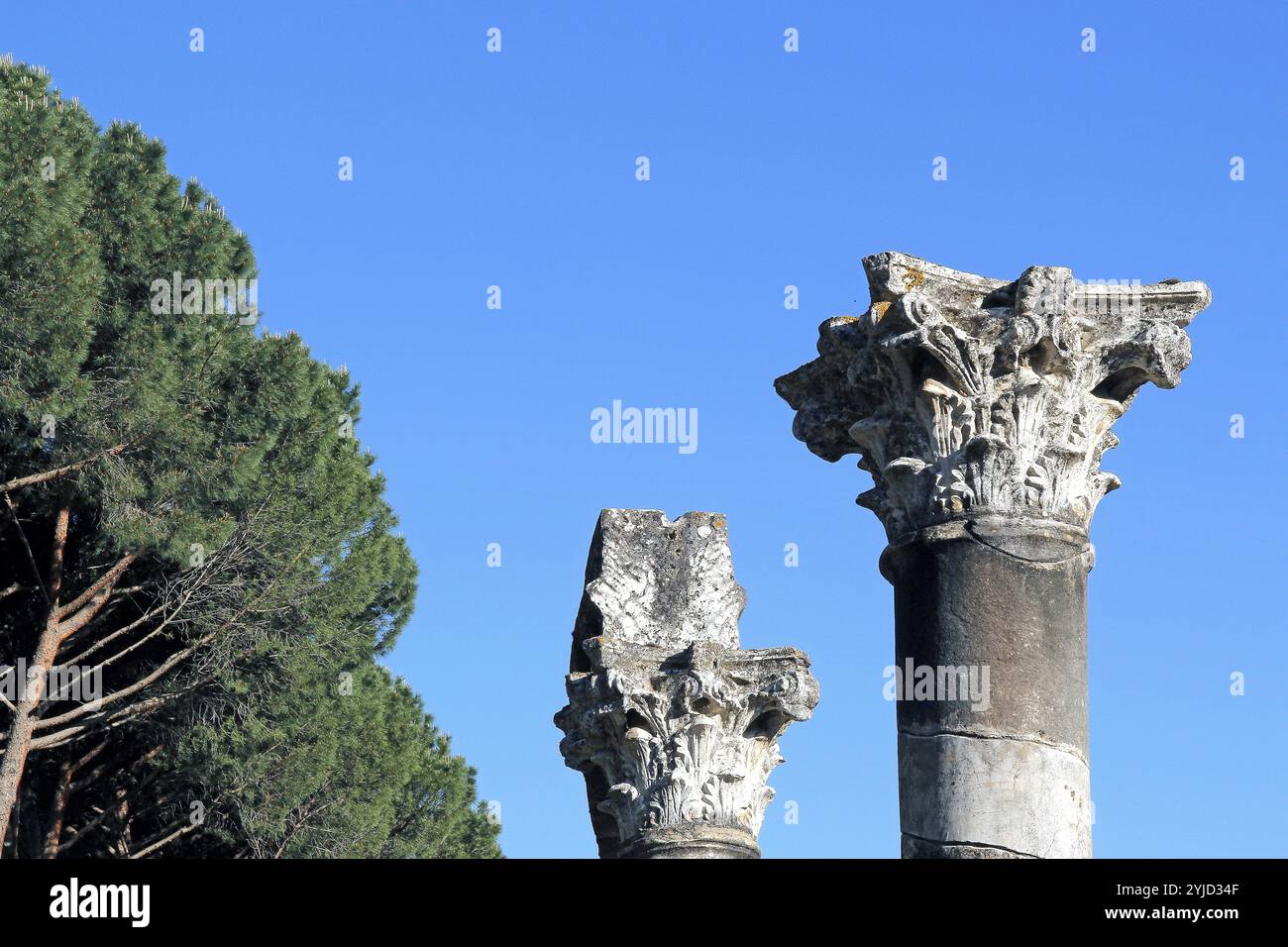 Korinthische Säulen, blauer Himmel, Kiefern Stockfoto