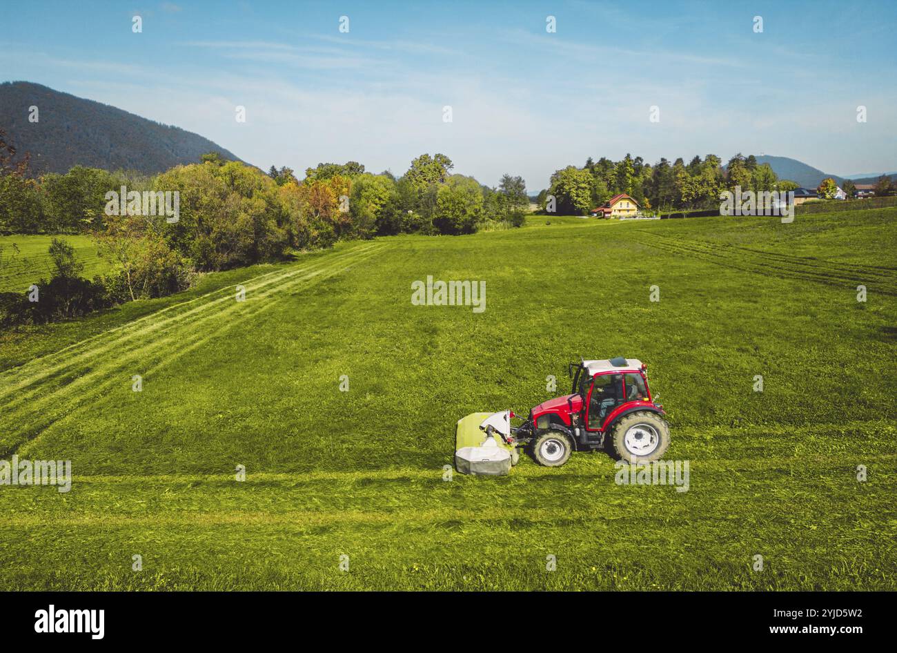 Aus der Vogelperspektive eines Traktors, der ein grünes, frisches Grasfeld mäht, ein Landwirt in einem modernen Traktor, der an einem sonnigen Tag ein grünes, frisches Grasfeld mäht. Stockfoto