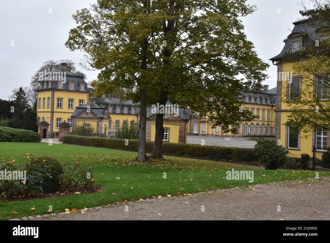 09.11.2024 Residenzschloss Deutschland/Hessen/Nordhessen/Landkreis Waldeck Frankenberg/Bad Arolsen/Residenzschloss/ bis 1918 Residenzstadt der Grafen und Fürsten Waldeck Pyrmont/ bis 1929 Hauptstadt vom Freistaat Waldeck ***Nutzung nur redaktionell*** *** 09 11 2024 Wohnschloss Deutschland Hessen Nordhessen Bezirk Waldeck Frankenberg Bad Arolsen Wohnschloss bis 1918 Wohnstadt der Grafen und Fürsten Waldeck Pyrmont bis 1929 nur für Zwecke des Waldeck Freistaat Waldeck Freie Hauptstadt Pyrmont Stockfoto