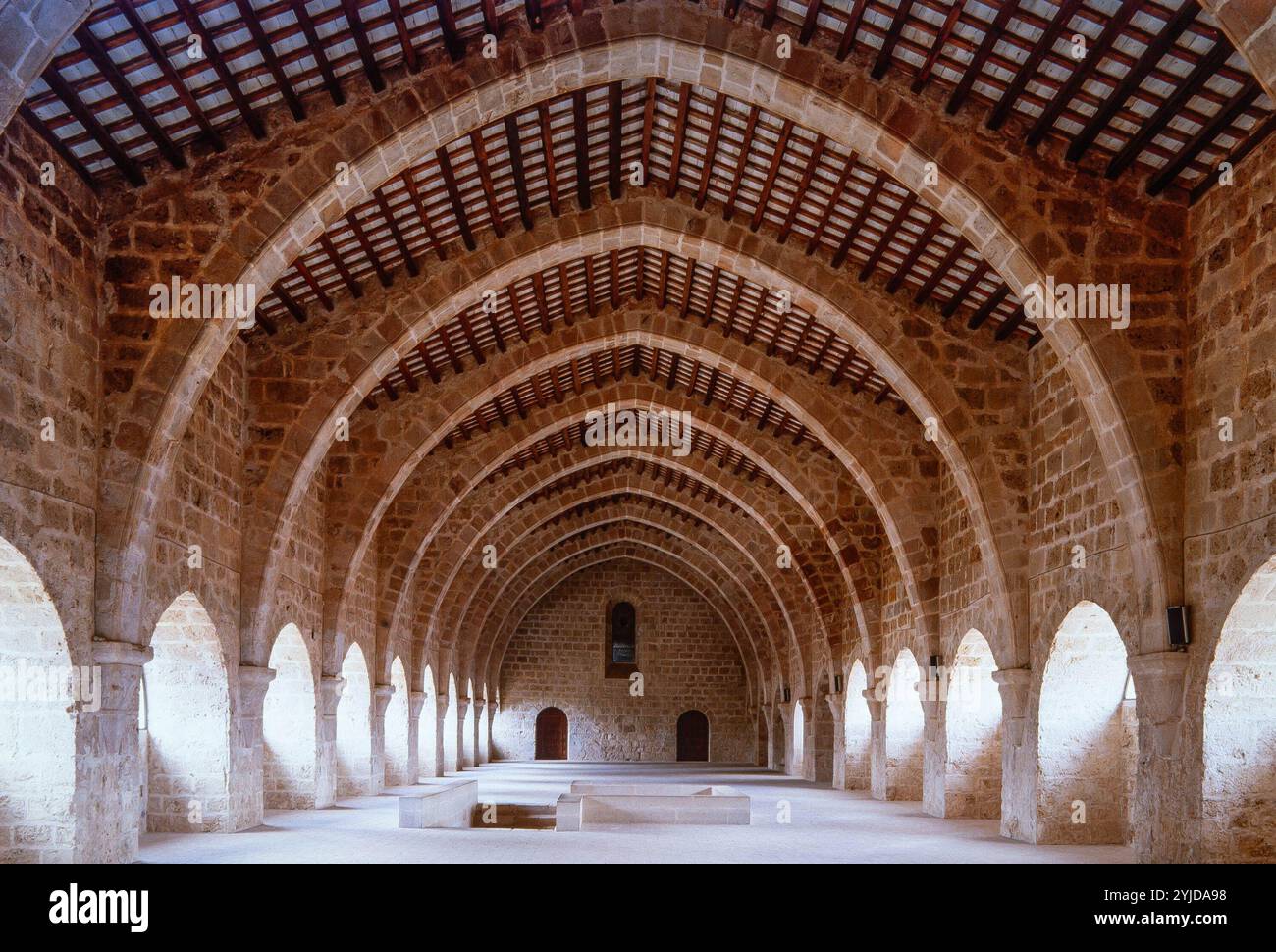 Dormitorio del Real Monasterio de Santes Creus, 1150-1158, Aiguamurcia, Provincia de Tarragona. Stockfoto