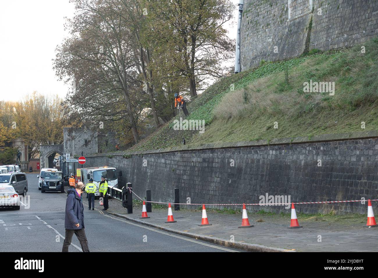 Windsor, Berkshire, Großbritannien. November 2024. Bauunternehmer hämmerten heute das Gras an den Hängen über der Mauer um Windsor Castle in Berkshire. Einige von ihnen wurden durch Takelage aufgrund der Höhe der Stufenneigung gehalten. Quelle: Maureen McLean/Alamy Live News Stockfoto