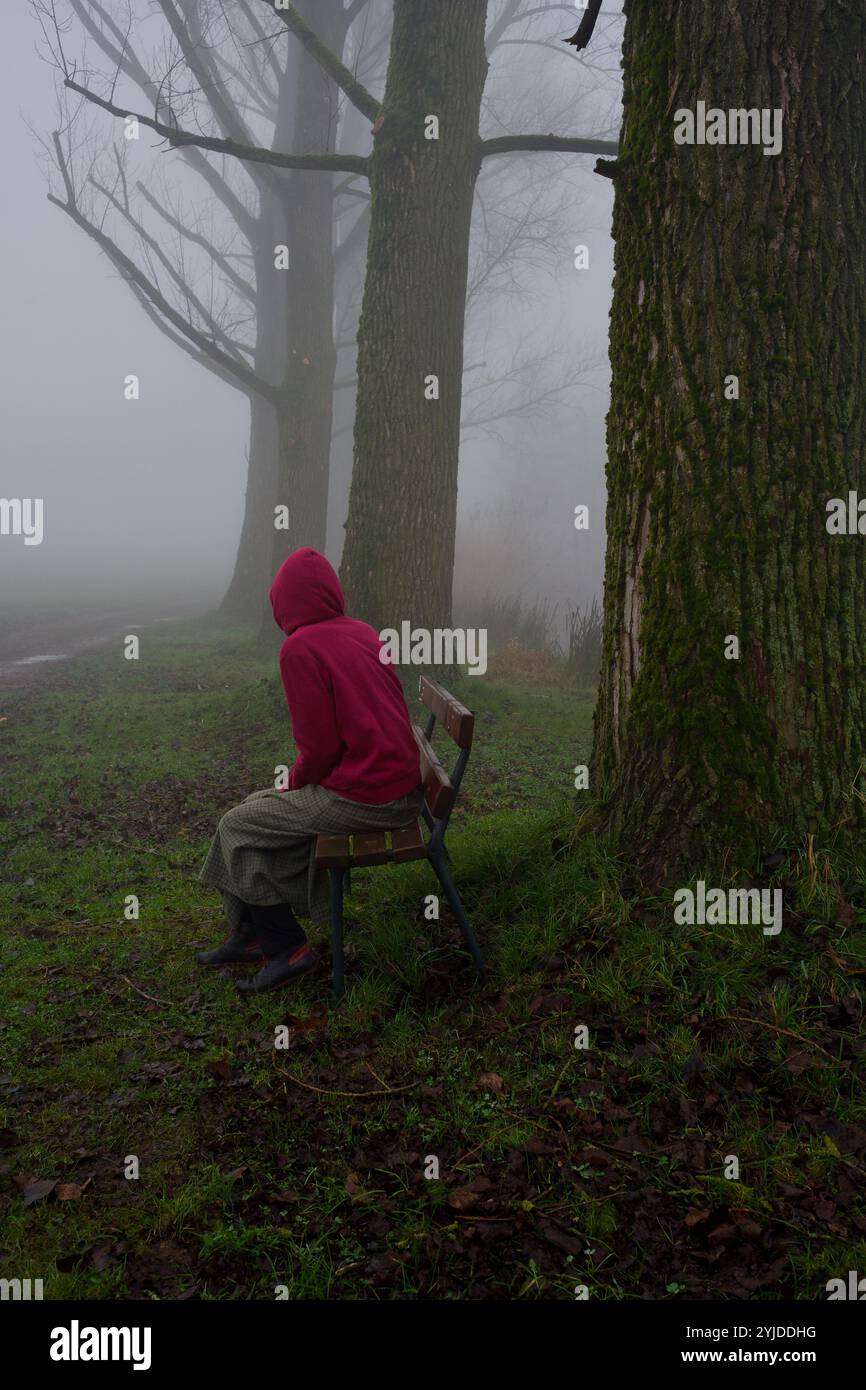 Eine Parkbank im Novembernebel. Stockfoto