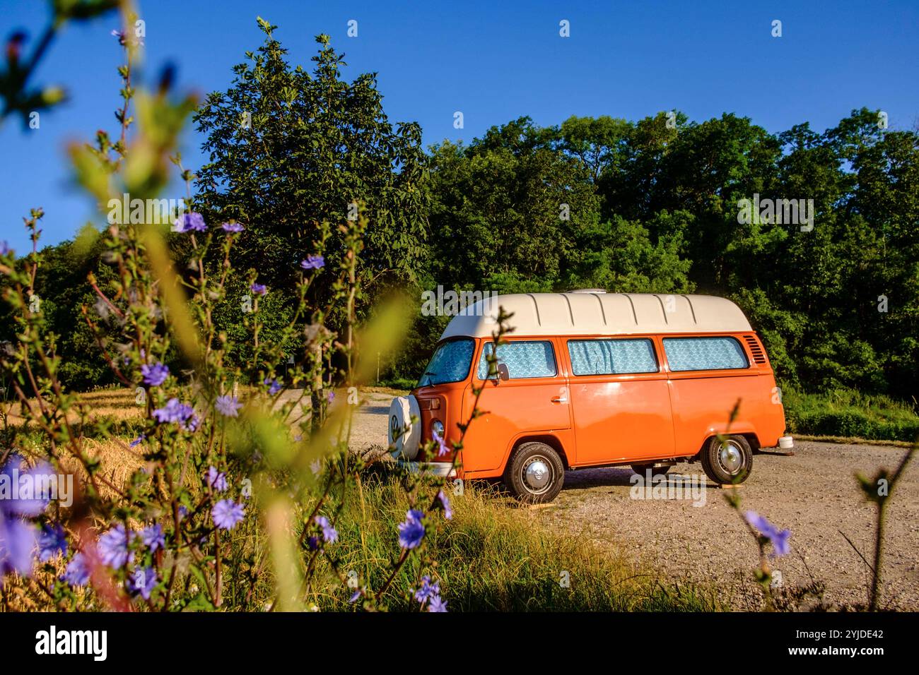 Ein Orange-weisser VW Bus Bulli steht auf einem Schotterparkplatz an einem Sommermorgen, Baden Württemberg, Deutschland. Ein Bulli steht in der Landschaft *** ein orange-weißer VW-Bus steht an einem Sommermorgen auf einem Schotterparkplatz, Baden-Württemberg, Deutschland Ein Van steht in der Landschaft Stockfoto