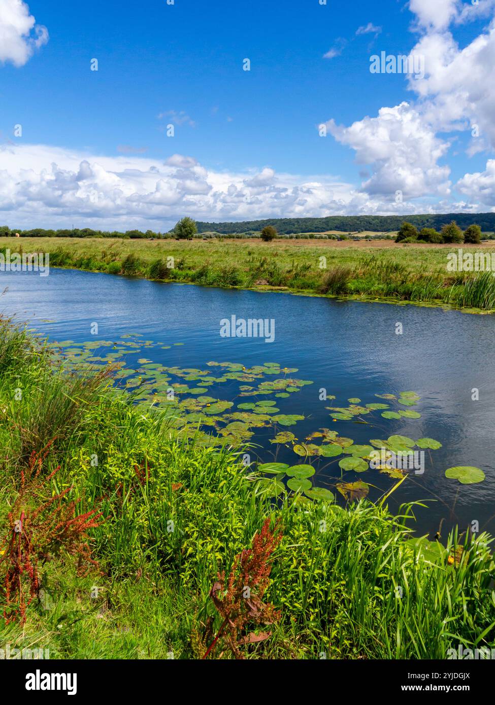 Der Sowy River in der Nähe von Burrowbridge liegt im Sommer auf dem Somerset auf einer Küstenebene und einem Feuchtgebiet im Südwesten Englands. Stockfoto