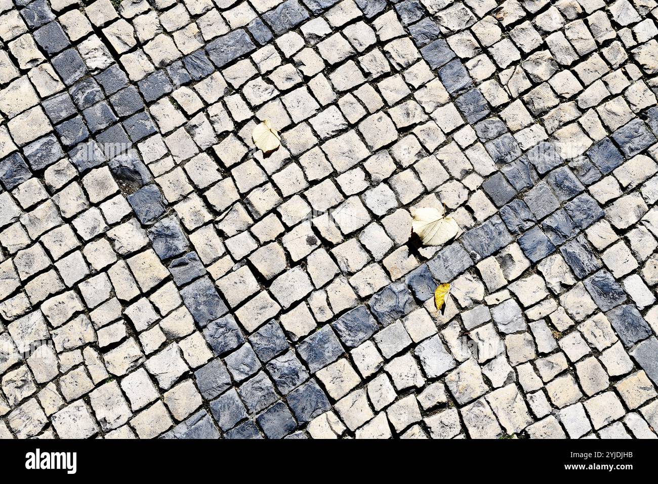 Traditionelles Kopfsteinpflaster in Porto Portugal Stockfoto