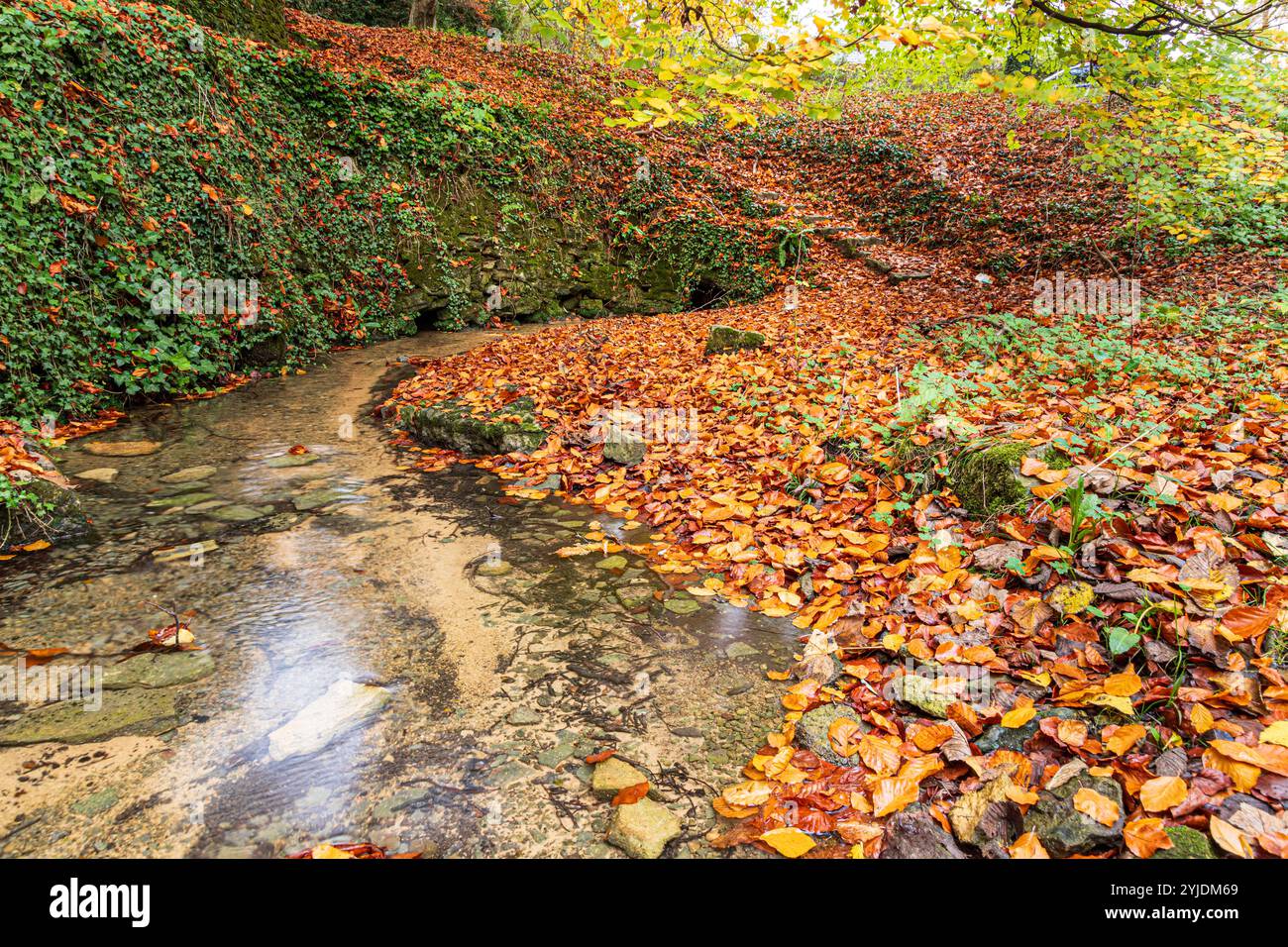 Die Quelle des Flusses Churn bei Seven Springs in der Nähe des Cotswold Dorfes Coberley, Gloucestershire, England, Großbritannien - Themse Zufluss Stockfoto