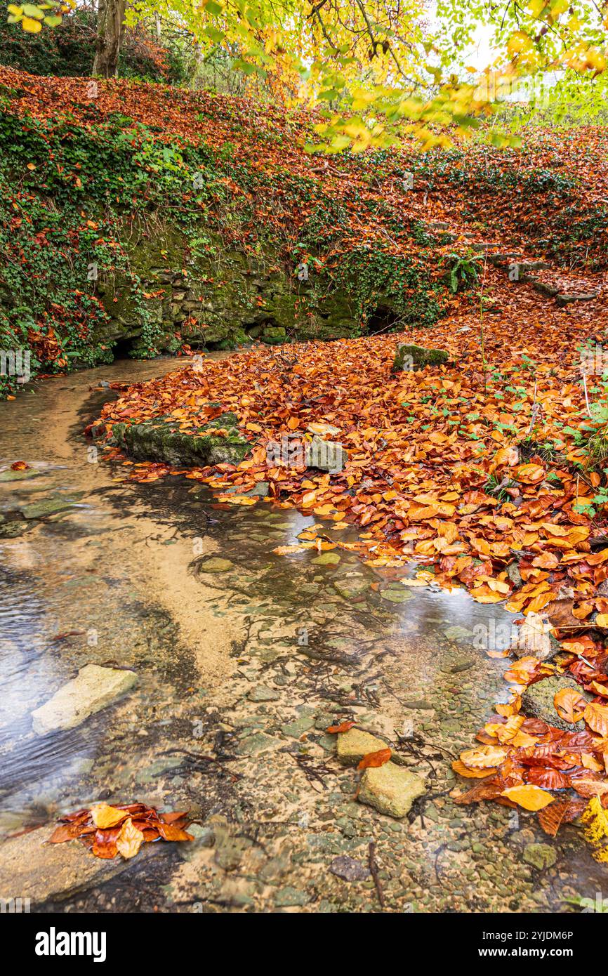 Die Quelle des Flusses Churn bei Seven Springs in der Nähe des Cotswold Dorfes Coberley, Gloucestershire, England, Großbritannien - Themse Zufluss Stockfoto