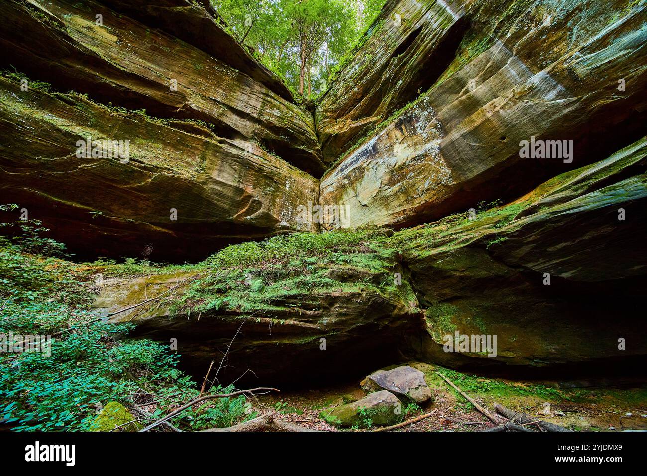 Cantwell Cliffs Gorge mit mossy Rocks in bewaldeter Umgebung mit Blick auf Augenhöhe Stockfoto