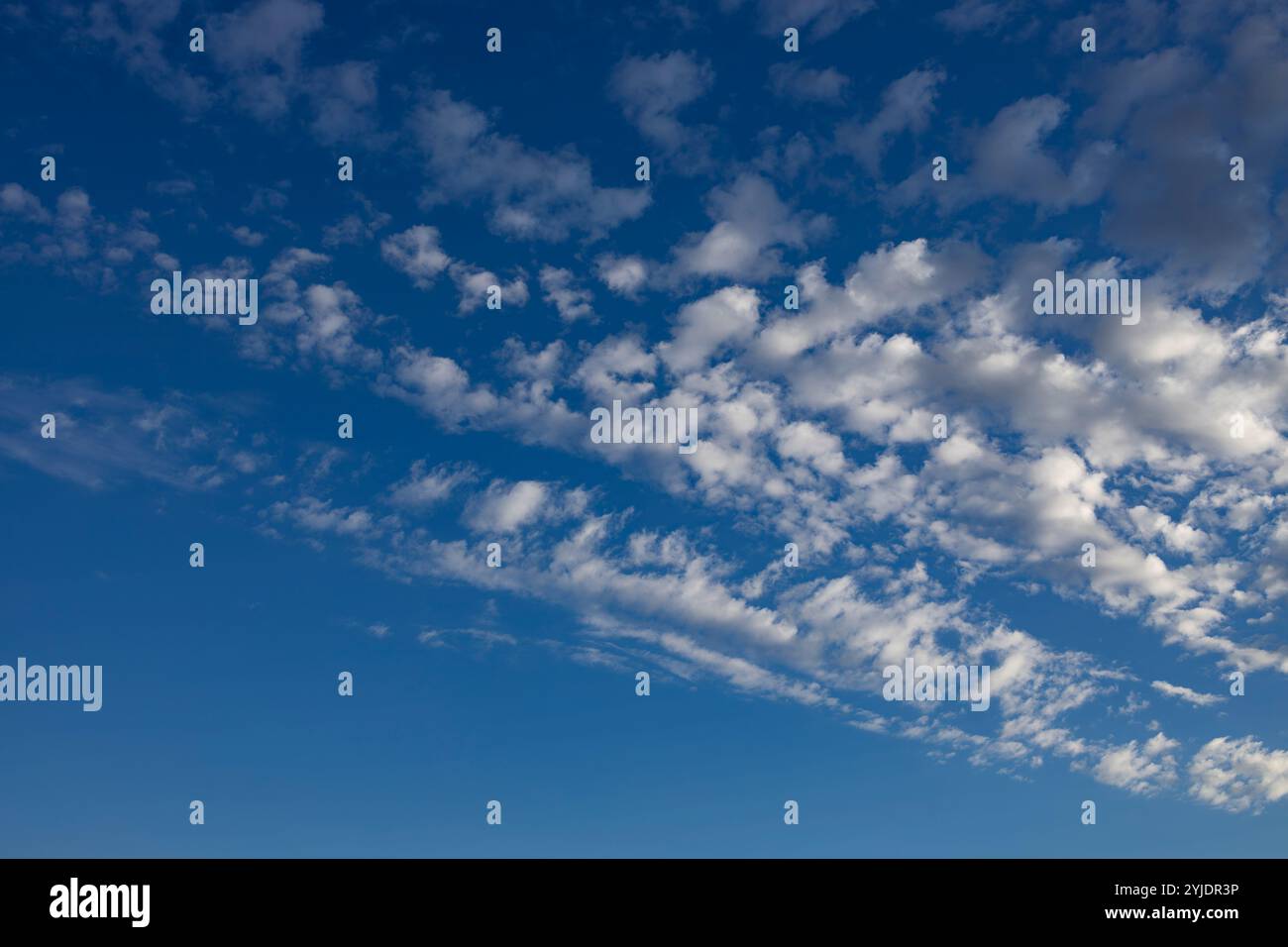 Verschiedene Wolkenphasen mit Kanon R und Kanon rf 35mm 1,8 stm Makro auf der Insel Kos in griechenland im Garten des Hippokratischen Instituts aufgenommen. Stockfoto
