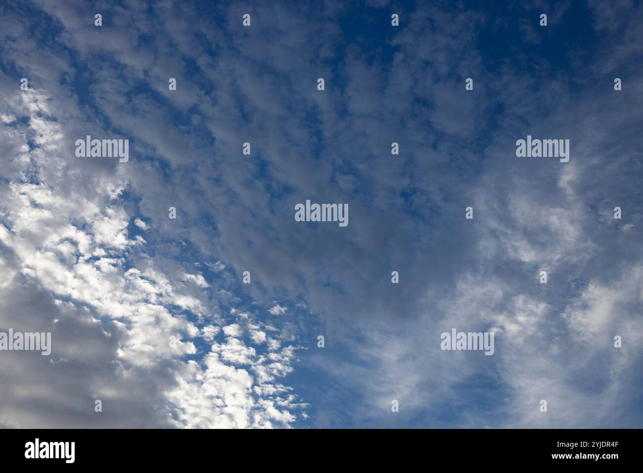 Verschiedene Wolkenphasen mit Kanon R und Kanon rf 35mm 1,8 stm Makro auf der Insel Kos in griechenland im Garten des Hippokratischen Instituts aufgenommen. Stockfoto