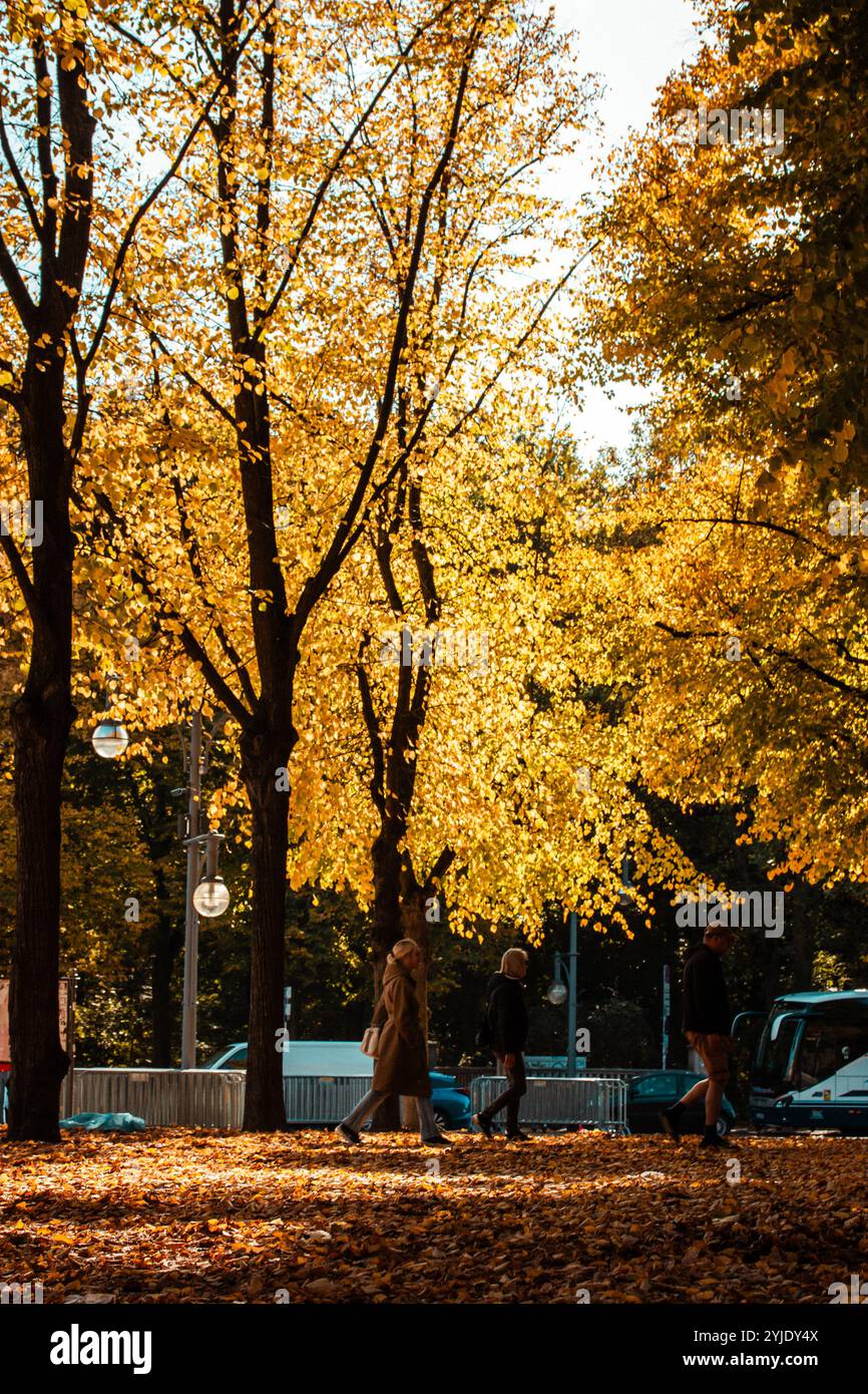 Berlin, Deutschland, 2. Oktober 2022 Vertikales Foto einer Stadtstraße mit goldgelben Bäumen, die entlang eines Bürgersteigs wachsen. Herbststadt an sonnigem Tag. Stockfoto