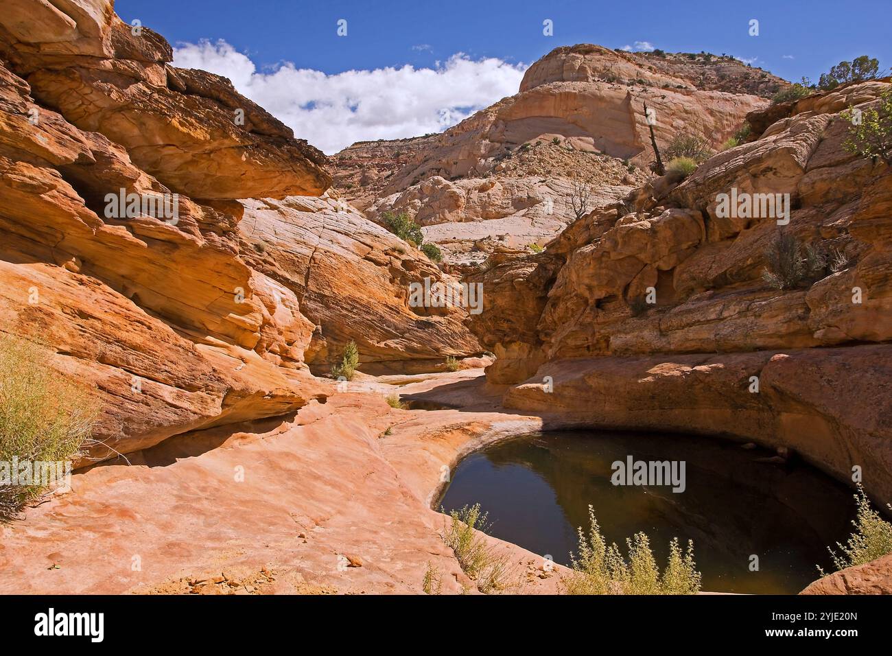 Der Capitol-Reef-Nationalpark in Utah liegt in einem Gebiet in der Nähe des Fremont River. Der Capitol-Reef-Nationalpark in Utah liegt in einem Gebiet in der N Stockfoto