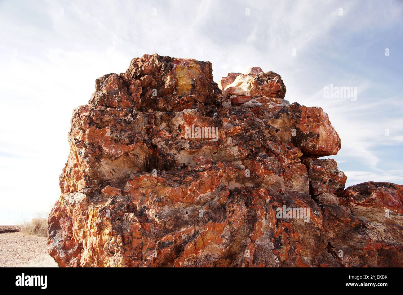 Der Petrified-Forest-Nationalpark ist ein Nationalpark der V Stockfoto