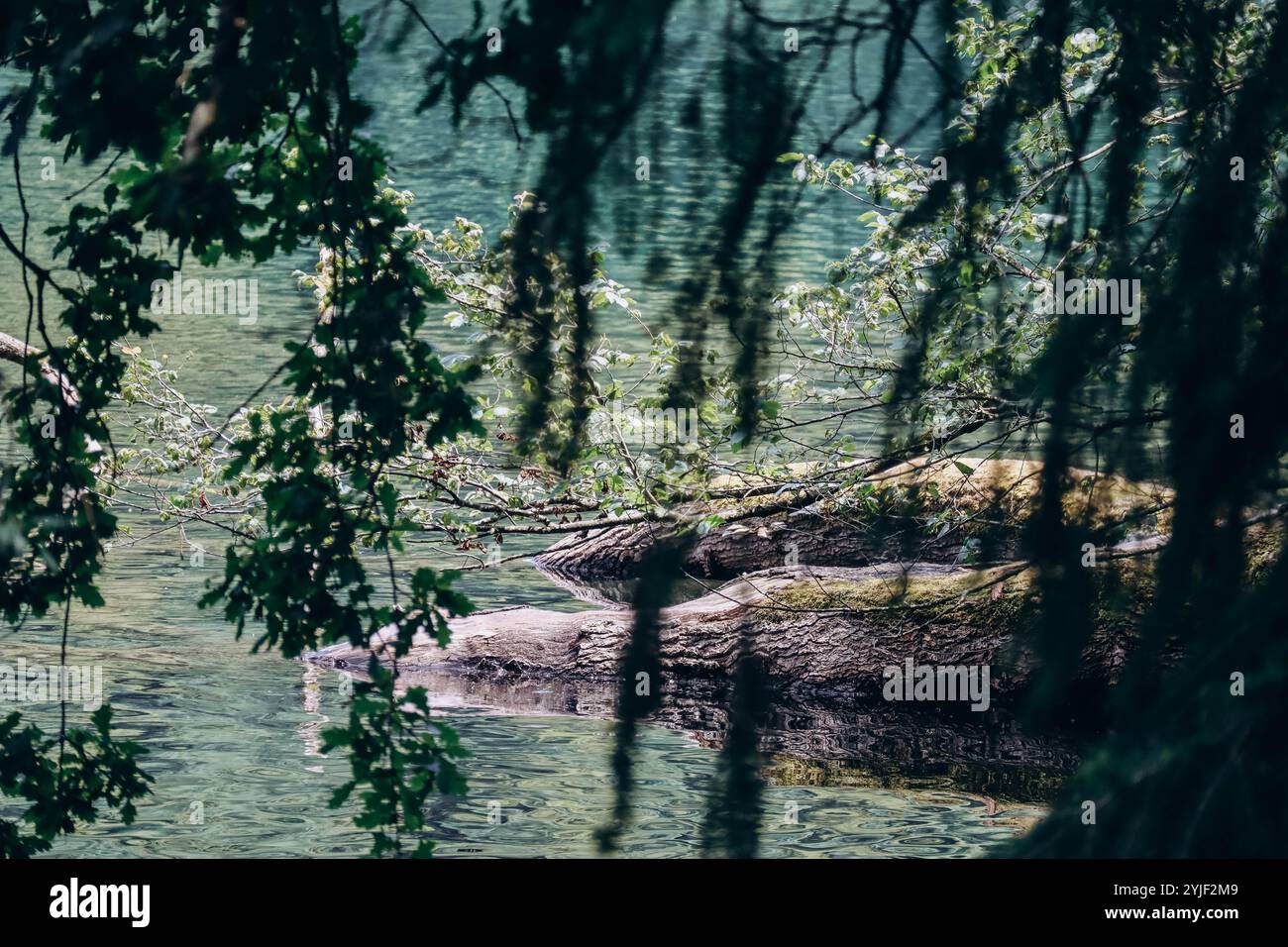 Landschaften rund um den Gour de Tazenat, einen vulkanischen See in der Auvergne, Frankreich. Stockfoto