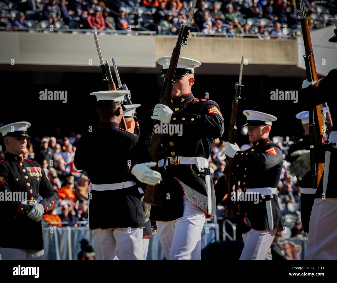 Marines mit dem U.S. Marine Corps Silent Drill Platoon führen ihre „Chaos“-Sequenz während einer Halbzeitshow beim Fußballspiel Chicago Bears vs. New England Patriots im Soldier Field in Chicago, Illinois, am 10. November 2024 aus. Im November ehrt die National Football League das Militär mit Salute to Service-Spielen, die der Silent Drill Platoon vor Zehntausenden Zuschauern bei den Chicago Bears gegen die New England Patriots ausgetragen hat. (Foto des U.S. Marine Corps von Lance CPL. Iyer P. Ramakrishna) Stockfoto