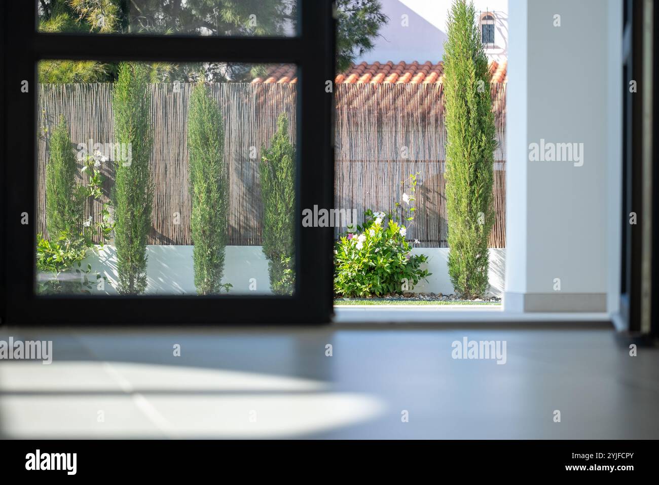 Ein geräumiger Innenraum zeigt einen wunderschönen Garten im Freien mit hohen Zypressen inmitten von üppigem Grün, beleuchtet durch natürliches Licht. Stockfoto