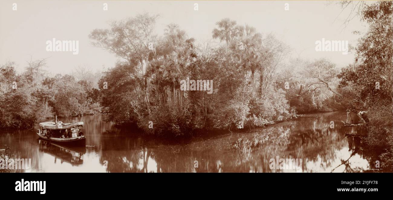 Auf der Tomoka in der Nähe von Ormond, Florida. Datum/Zeit: Ca. 1898. Drucken. Silberchlorid. Höhe: 424 mm (16.69 in); Breite: 976 mm (38.42 in). Autor: William Henry Jackson. Stockfoto