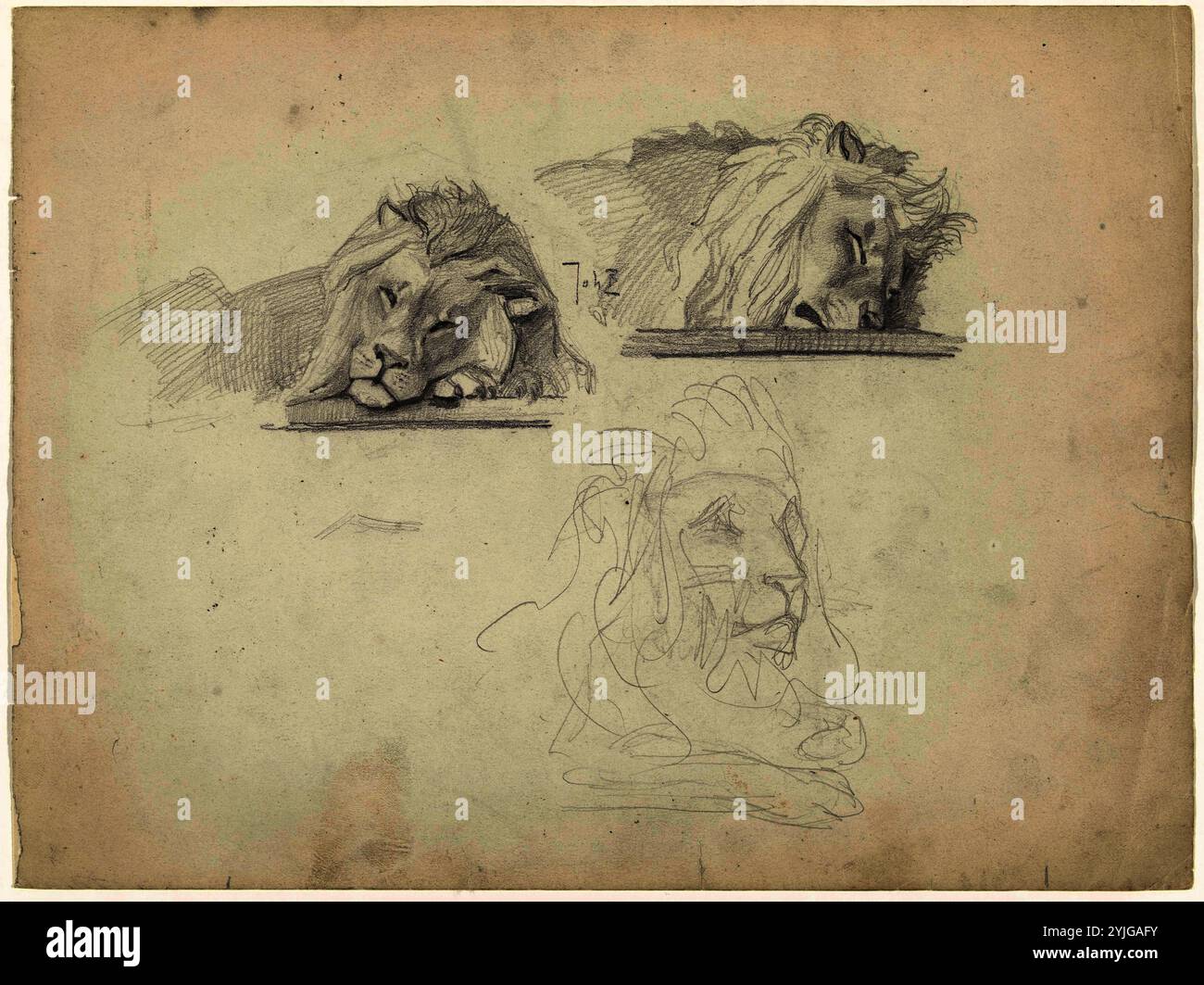 Drei Studien eines Löwen. Verfasser der Stellungnahme: Johan Braakensiek. Datierung: 1868 - 1940. Maße: H 231 mm x B 310 mm. Museum: Rijksmuseum, Amsterdam. Stockfoto