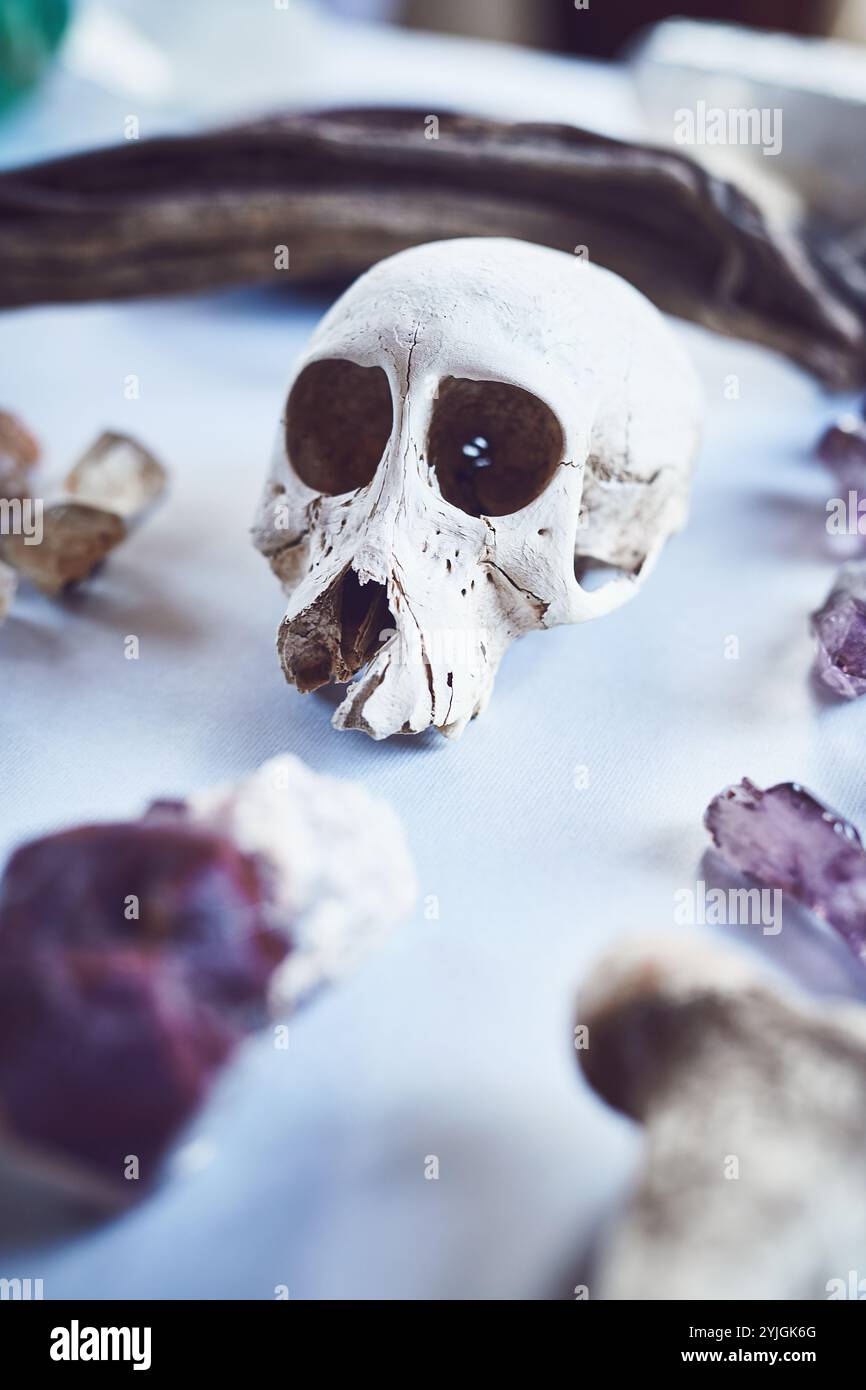 Kristalle, Chakra und Schädel zur spirituellen Heilung, Praxis und Schmuck zur energetischen Reinigung. Felsen, Mineralien und Geologie für Reiki, Wellness und Stockfoto