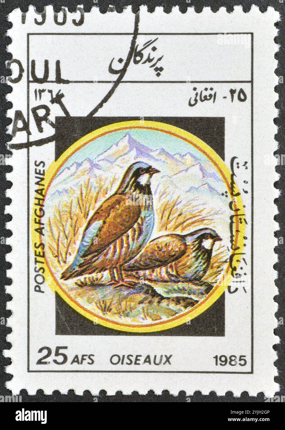 Gestempelte Briefmarke, gedruckt von Afghanistan, die Chukar Partridge (Alectoris chukar) zeigt, um 1985 Stockfoto