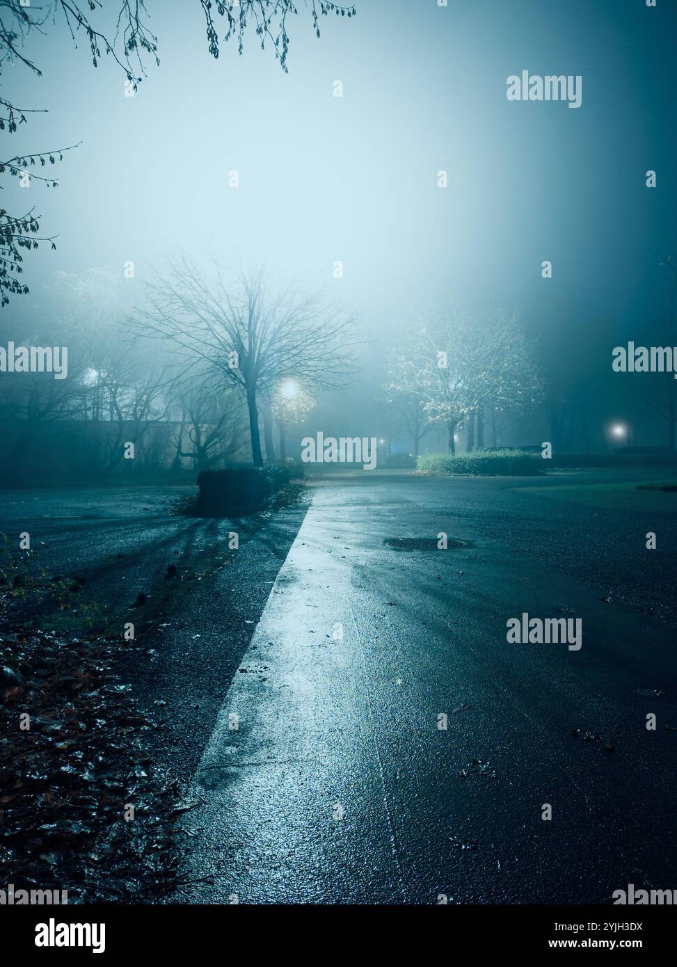 Eine ruhige Straße ist von Nebel umgeben, von Straßenlaternen schwach beleuchtet, was eine geheimnisvolle und ruhige Atmosphäre bei Nacht schafft. Stockfoto