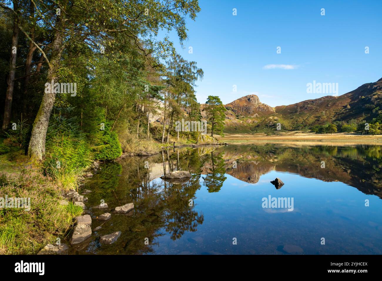 Dramatische Landschaft am Blea Tarn im Lake District, Cumbria, England an einem ruhigen Morgen im September. Stockfoto