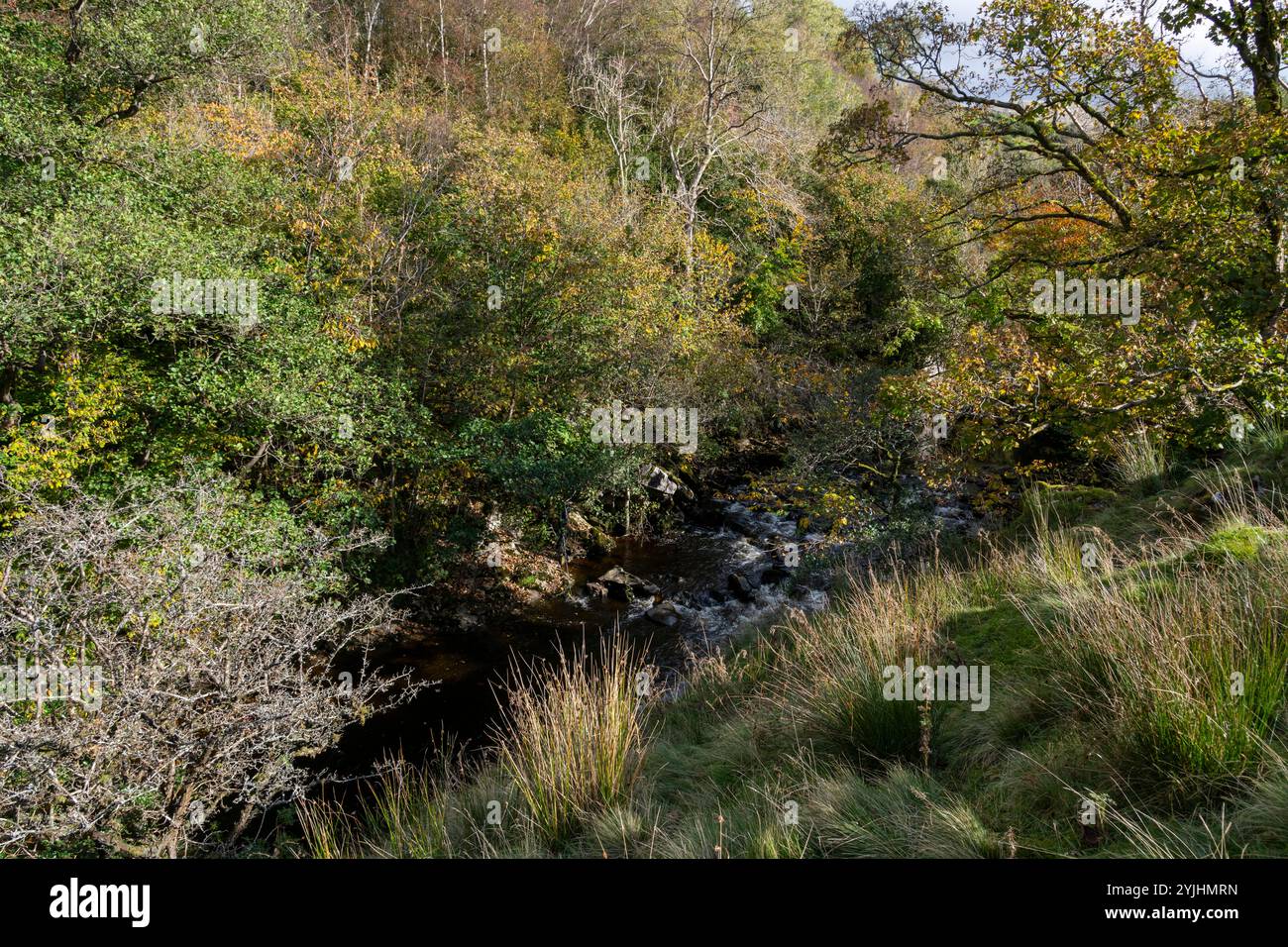 Der Sedgewick Geology Trail entlang des Flusses Clough bei Sedbergh in Cumbria, England. Stockfoto