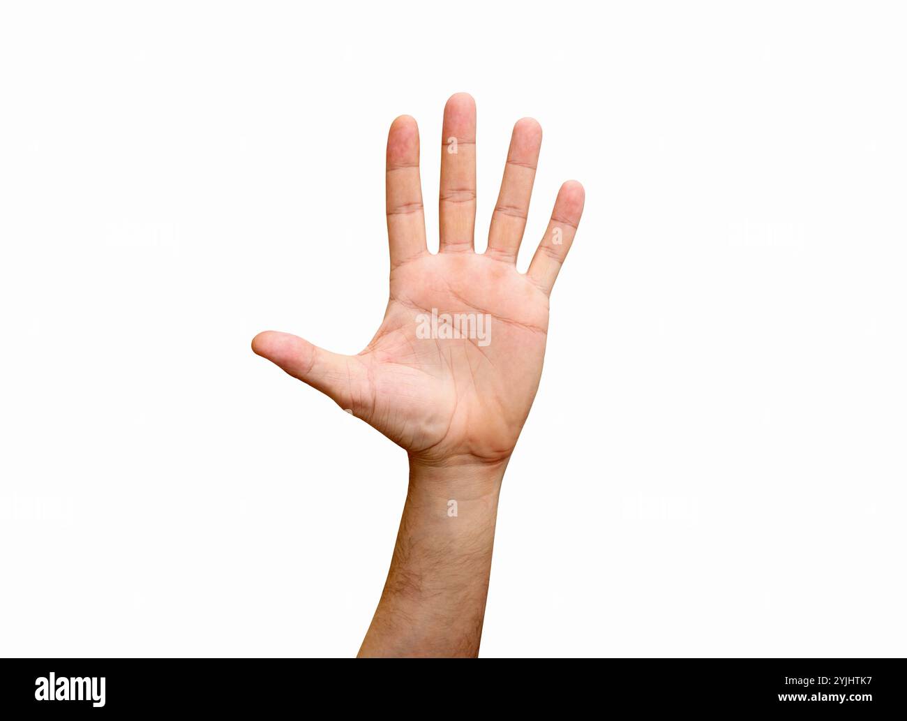 Die Hand des isolierten Mannes zeigt fünf Finger. Menschliche Hand. Öffnen Sie die Hand. Stockfoto