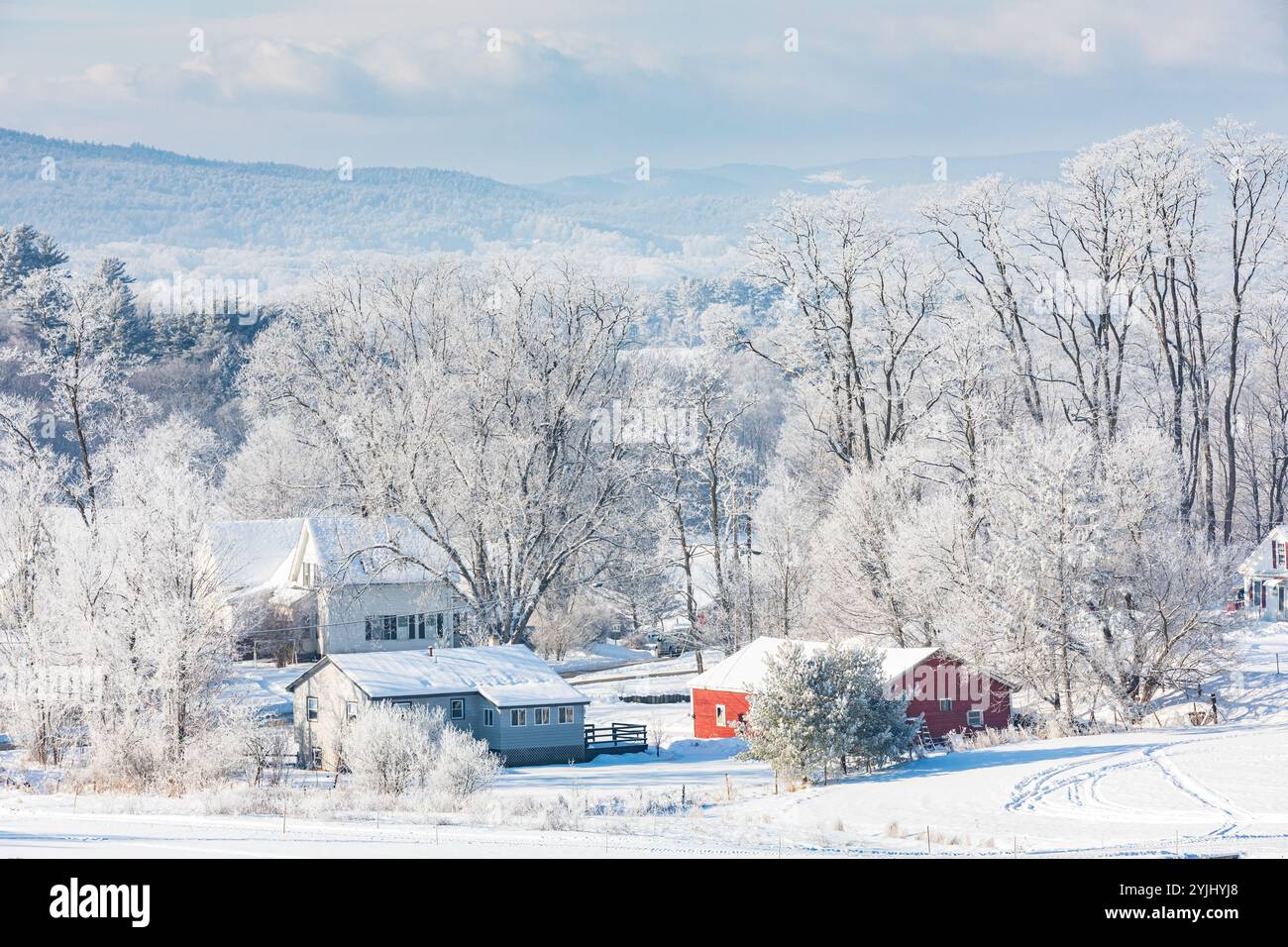 Häuser und Bäume in Neuengland nach dem Wintereis Stockfoto