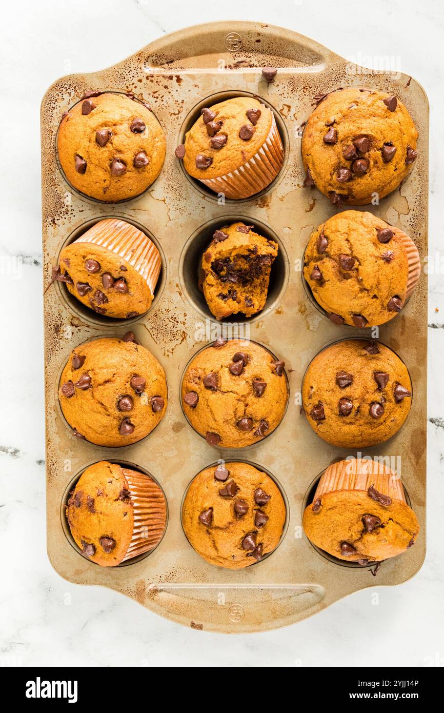 Kürbis-Schokoladen-Chips-Muffins frisch aus dem Ofen, reich an Farbe Stockfoto