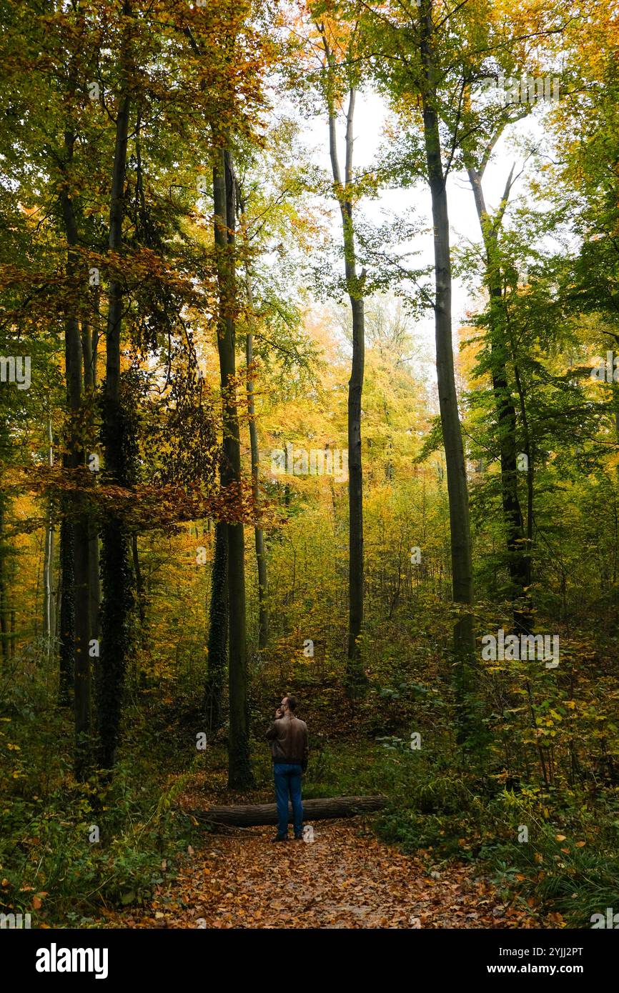 Junge Männchen, die mitten im Herbstwald stehen Stockfoto