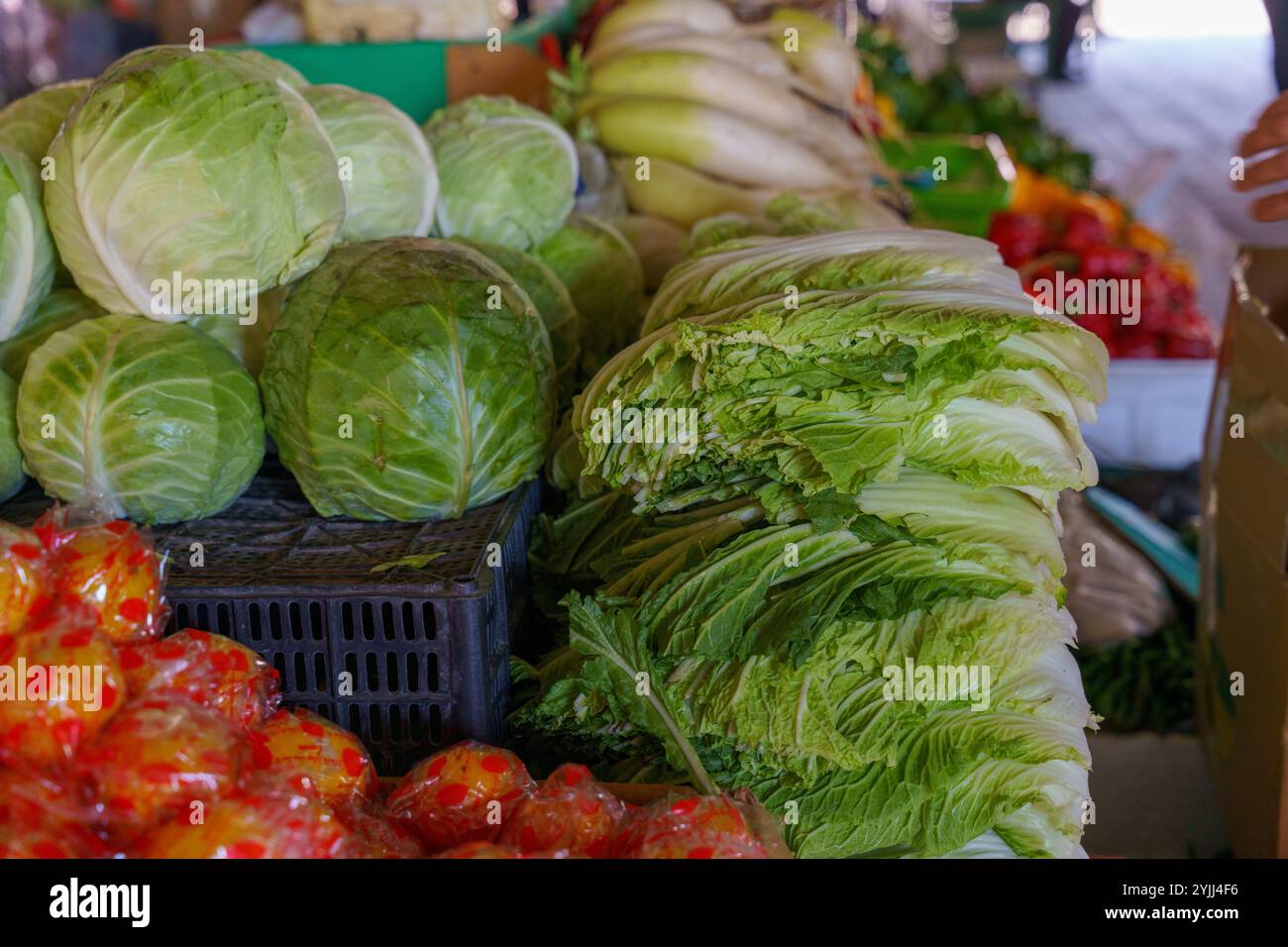 Ein Haufen Grünkohl steht neben einem Haufen Grünsalat Stockfoto