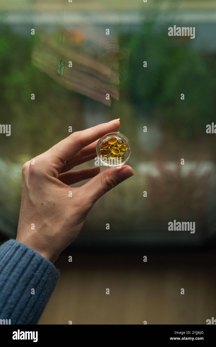 Frauenhand mit transparentem Pillenhalter und gelben Kapseln Stockfoto