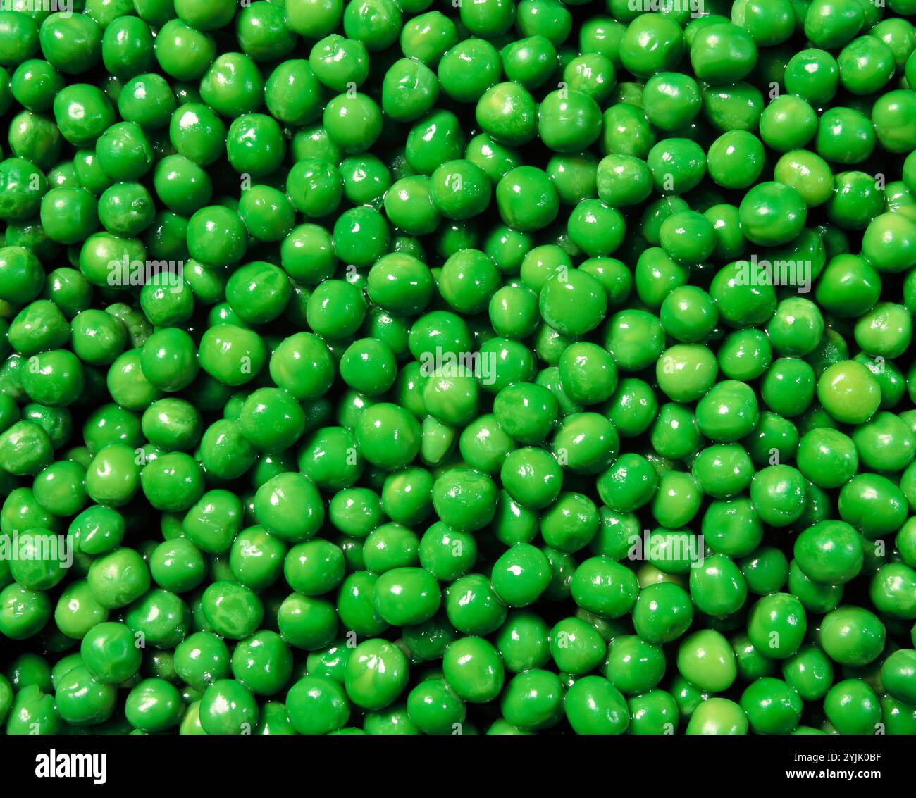 Stillleben. Essen. Gemüse. Gekochte Frische Gartenerbsen. Stockfoto