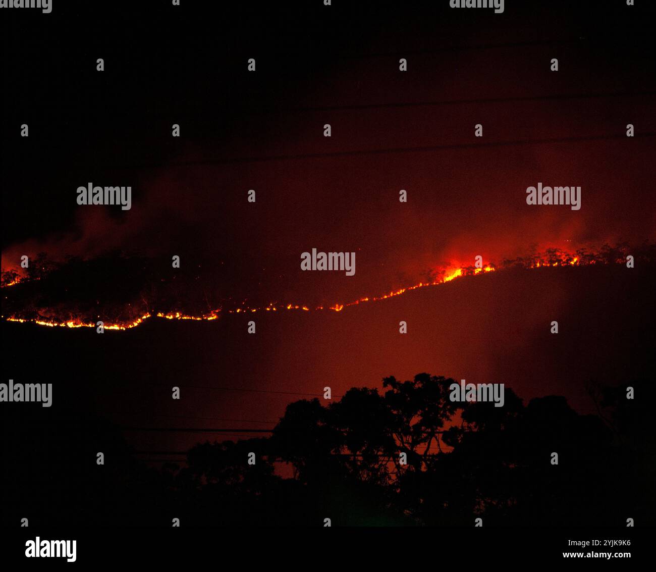 Australien. New South Wales. Bush Feuer. Wieder brennend auf einem Kamm. Stockfoto