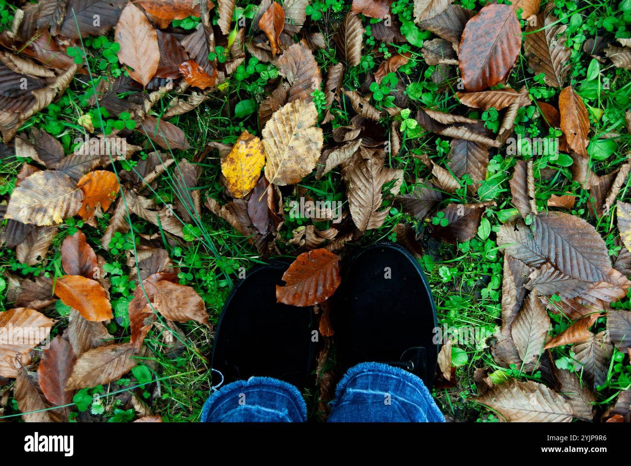 Ein Paar schwarze Stiefel, die auf einem mit braunen Herbstblättern bedeckten Boden stehen und das Wesen des Herbstes festhalten. Stockfoto