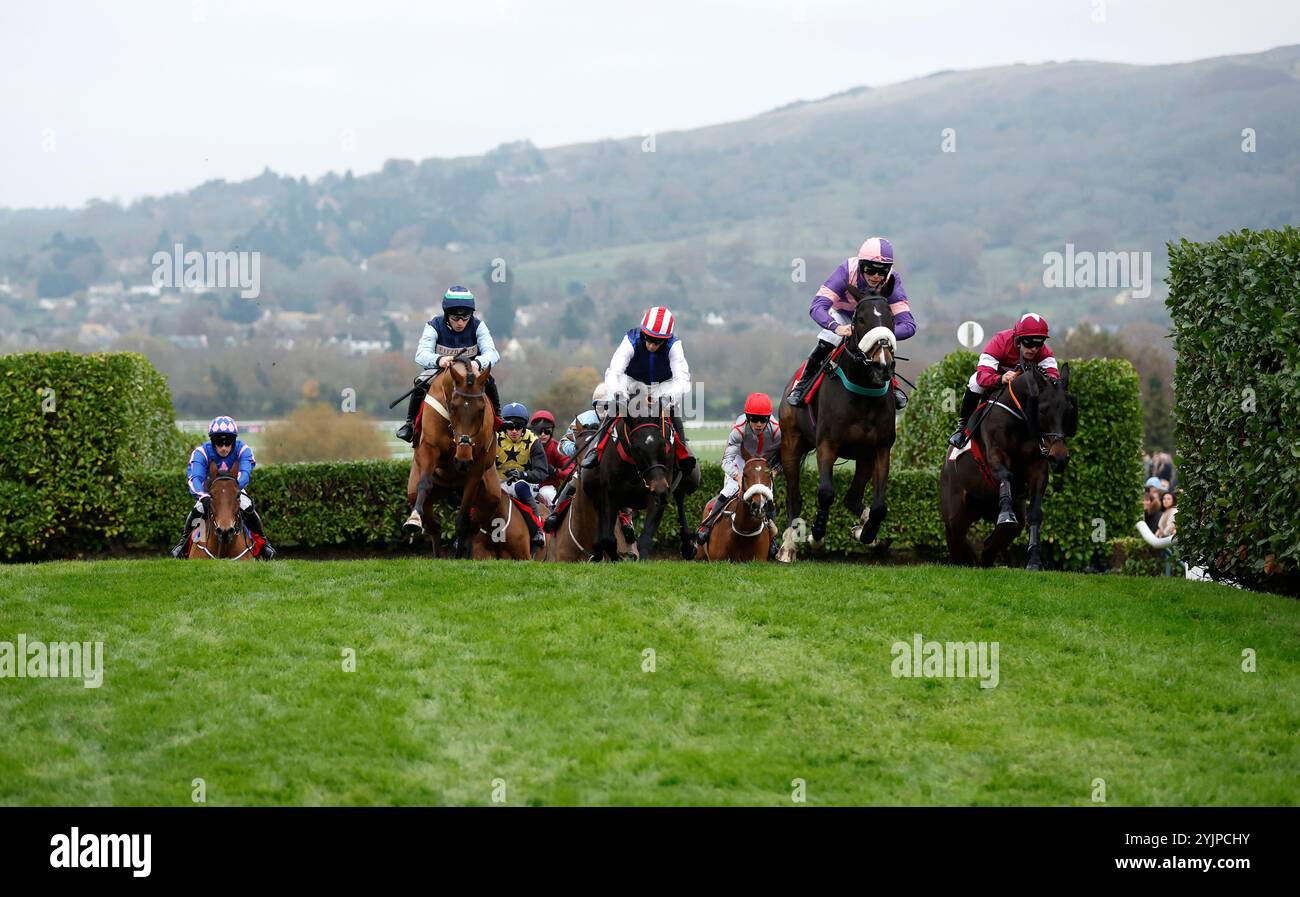 Läufer und Fahrer in der Glenfarclas Cross Country Handicap Chase während des Country Day auf der Cheltenham Racecourse. Bilddatum: Freitag, 15. November 2024. Stockfoto