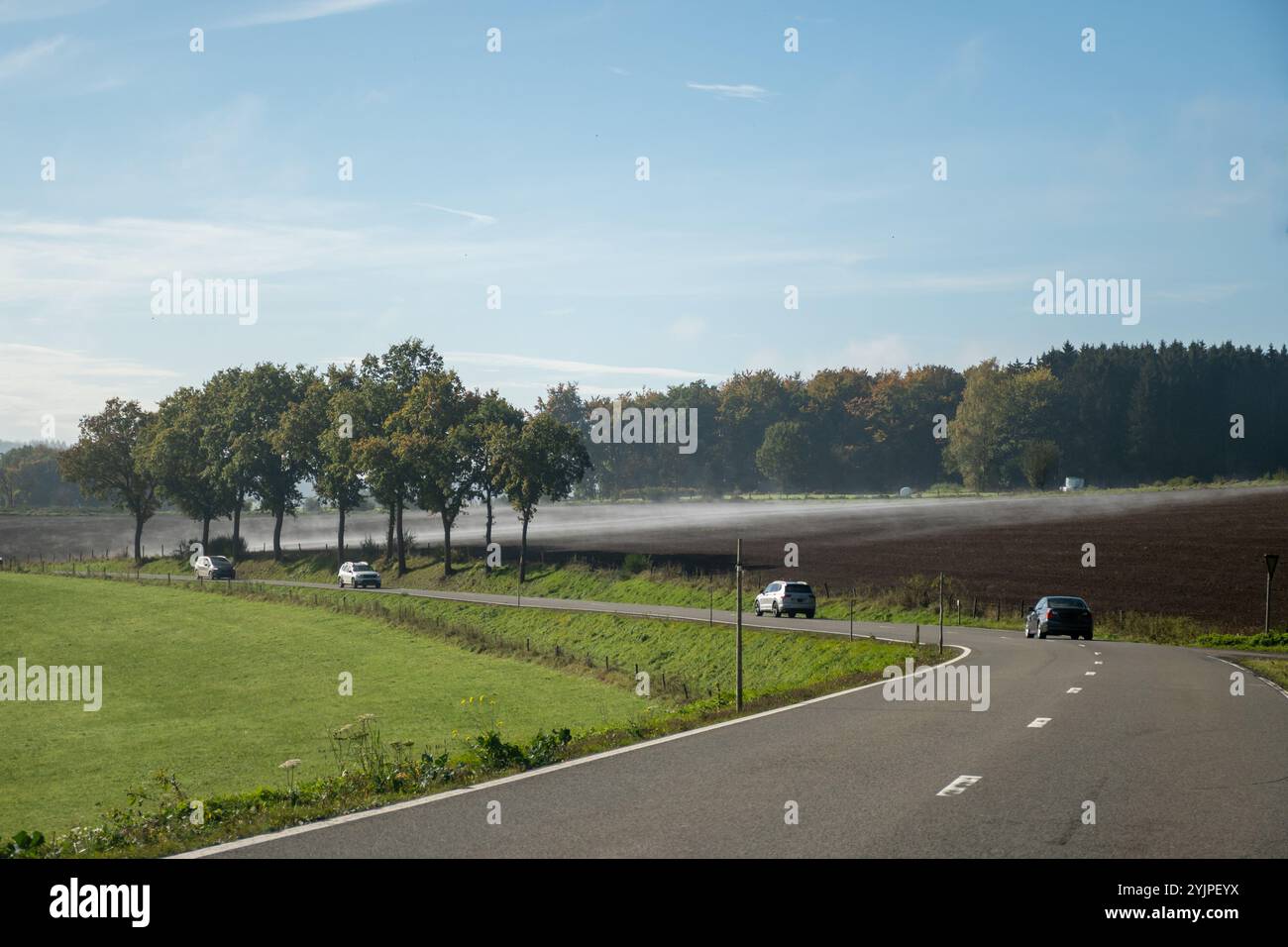 Auto fahren auf der Straße in Belgien, Nebel in den Ardennen, Naturpark, Wallonien Stockfoto