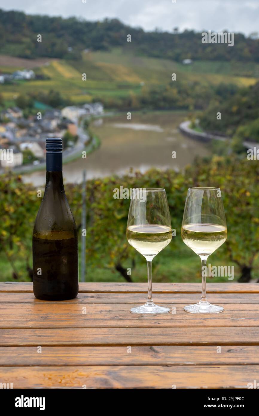 Gläser weißen Trockenriesling, hergestellt im Moseltal in Deutschland oder Luxemburg, Blick auf Terrassen-Weinberge in Nittel Stockfoto