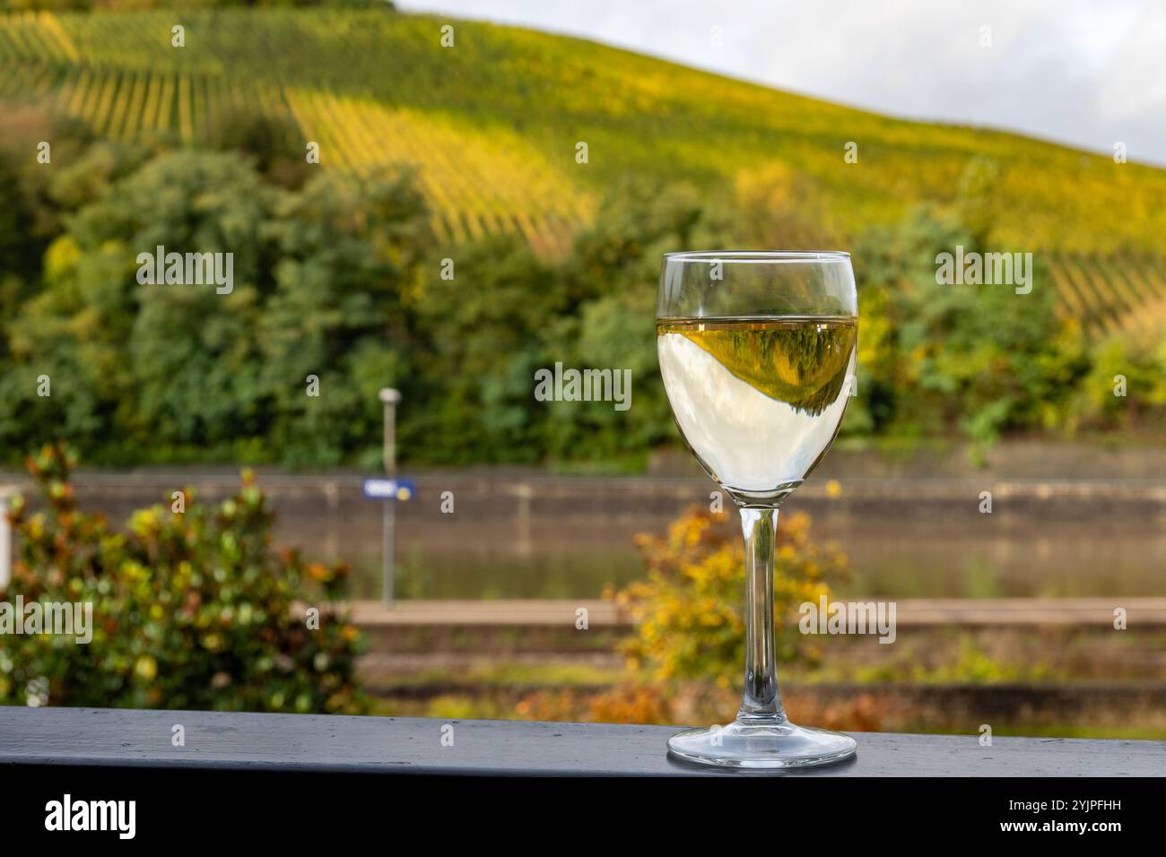 Gläser weißen Trockenriesling, hergestellt im Moseltal in Deutschland oder Luxemburg, Blick auf Terrassen-Weinberge in Nittel Stockfoto