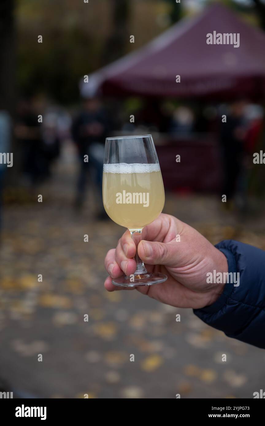 Herbstweinfestival in Schengen an der Mosel, Luxemburg, Verkostung von fiederwaissen Jungwein fermentiertem frisch gepresstem auxerrois-Traubensaft oder Mu Stockfoto